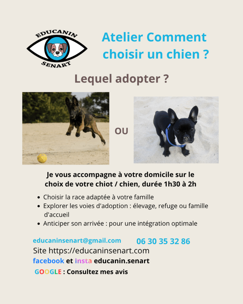 Atelier comment adopter un chiot chien Atelier comment choisir un chiot chien à Yerres